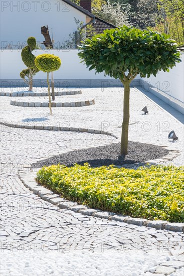 Modern garden with geometric shapes and spotlights, orderly garden with artfully trimmed trees and paved paths, gravel garden with white wall, garden hostile to nature and animals with trimmed plants, contrary to regulations, violation of building regulations, sealing, gravel desert, non-ecological garden design, Lower Saxony, Germany, Europe