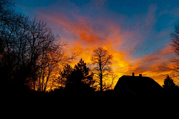 Trees and buildings in front of a bright orange and red sky at sunrise, Ternitz, Lower Austria, Austria, Europe