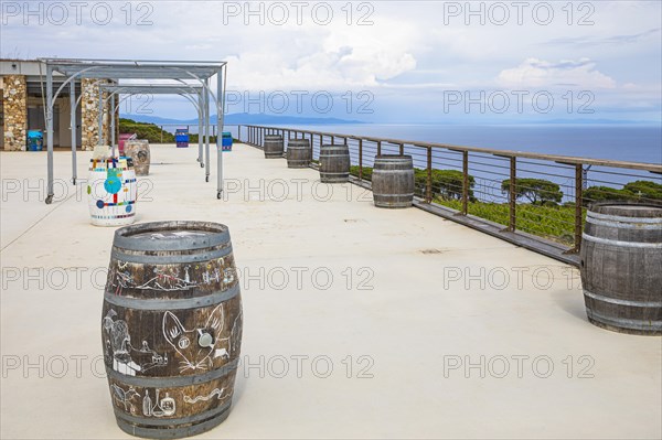 Wine barrels on the terrace of the Tenuta delle Ripalte winery, Elba, Tuscan Archipelago, Tuscany, Italy, Europe
