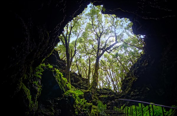 View from one of the lava tunnels Gruta das Torres to a wooded area and the sky, Gruta das Torres, Pico Island, Azores, Portugal, Europe