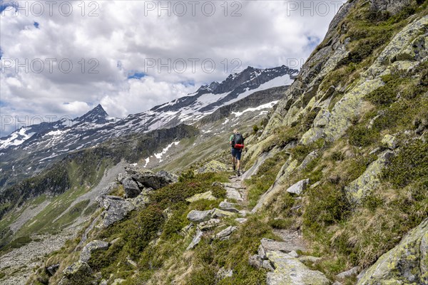 Mountaineer on rocky hiking trail, Berliner Hoehenweg, mountain panorama with summit Schrammacher, Zillertal Alps, Tyrol, Austria, Europe