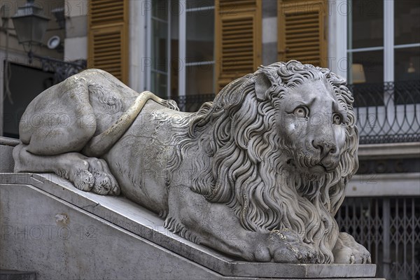 Large lion sculpture in front of the Cathedral of San Lorenzo, opened in 1098, Piazza S. Lorenzo, Genoa, Italy, Europe