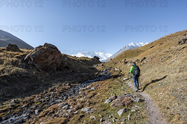 Hikers in the Achik-Tash valley, snow-covered mountain peak Pik Lenin in the background, Trans Alay Mountains, Pamir Mountains, Osh Province, Kyrgyzstan, Asia