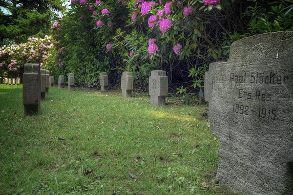 Old cemetery with gravestones and flowering shrubs in the background, Wuppertal Elberfeld, North Rhine-Westphalia, Germany, Europe