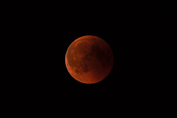 A total lunar eclipse with a reddish moon against a dark sky, Haan, North Rhine-Westphalia, Germany, Europe