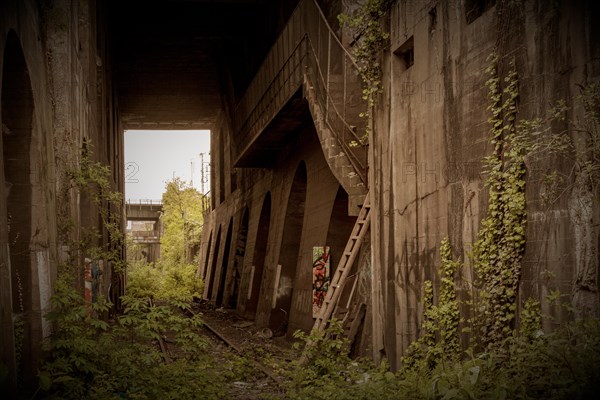 A mysterious, abandoned bridge with arches, surrounded by plants and graffiti, former railway branch Rethel, Lost Place, Flingern, Duesseldorf, North Rhine-Westphalia, Germany, Europe