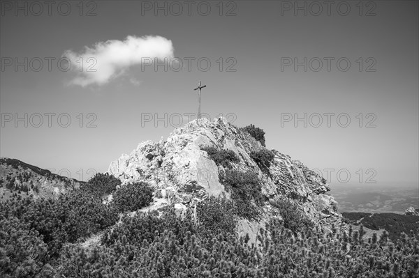 Lacherspitz, Bayrischzell, Sudelfeld, Mangfall mountains, Bavarian Prealps, Upper Bavaria, Bavaria, Germany, Europe