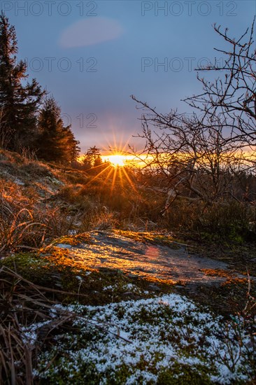 Landscape on the Grosser Feldberg, Taunus volcanic region. A cloudy, sunny winter day, meadows, hills, snow and forests with a view of the winter sunset. Hesse, Germany, Europe