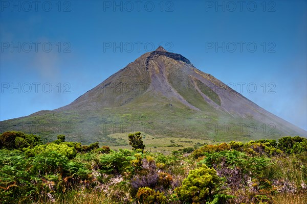 The picturesque Pico volcano rises up in a green landscape, Highlands, Pico Island, Azores, Portugal, Europe