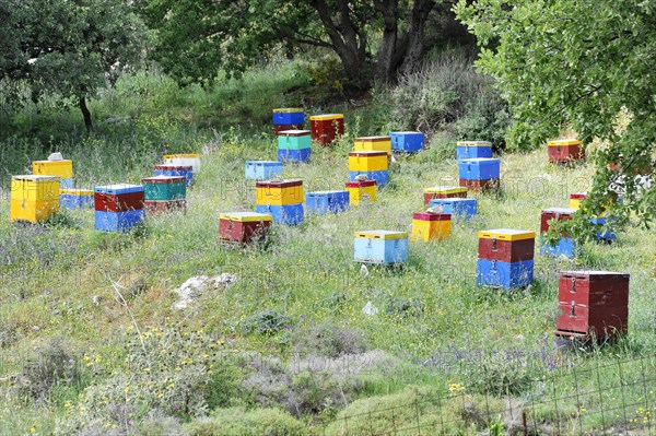 Beehives, near Rethymno, Crete, Greece, Europe