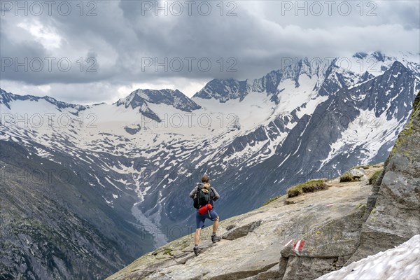 Mountaineer on hiking trail, view of glaciated rocky mountain peaks Hoher Weisszint and Hochfeiler with glacier Schlegeiskees, Berliner Hoehenweg, Zillertal Alps, Tyrol, Austria, Europe