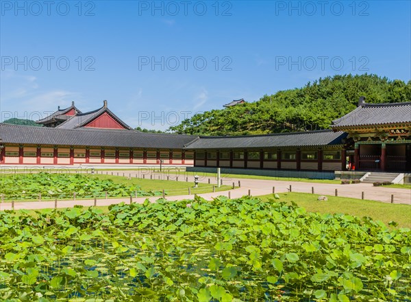 Buyeo, South Korea, July 7, 2018: Pond filled lily pads in front of temple buildings at Neungsa Baekje Temple, Asia