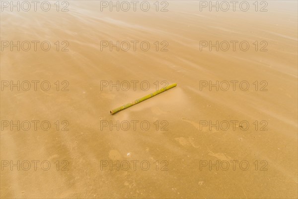 Solitary bamboo pole laying on windswept beach with streaks of sand being blown across the ground