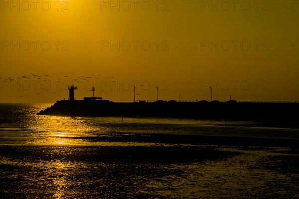 Flock of seagulls flying over lighthouse at end of pier as setting sun glimmers on ocean water below