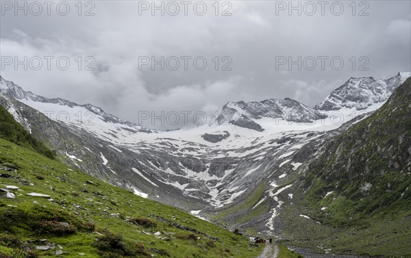 Schlegeisgrund valley, glaciated mountain peaks Hoher Weiszint and Schlegeiskees glacier, Berliner Hoehenweg, Zillertal Alps, Tyrol, Austria, Europe