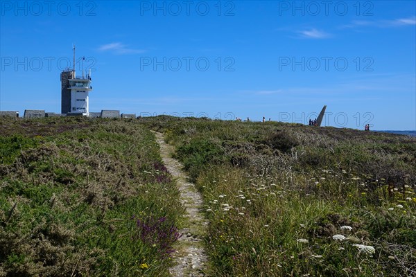 Heath landscape on the Cap de la Chevre, lighthouse, Crozon peninsula, Finistere department, Brittany region, France, Europe