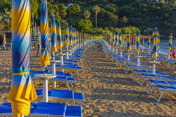 Sun loungers and parasols on Straccolignino beach at sunrise, near Capoliveri, Elba, Tuscan Archipelago, Tuscany, Italy, Europe