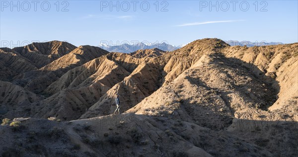 Hiker walks between canyons, behind mountains of the Tian Shan, eroded hilly landscape, badlands, Valley of the Forgotten Rivers, near Bokonbayevo, Yssykkoel, Kyrgyzstan, Asia