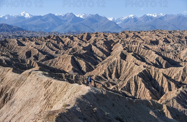 Hiker walking along a canyon, Tian Shan mountains in the background, eroded hilly landscape, Badlands, Valley of the Forgotten Rivers, near Bokonbayevo, Yssykkoel, Kyrgyzstan, Asia