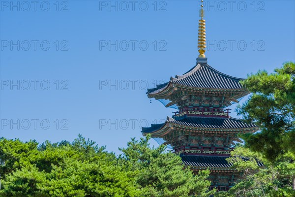 Tall oriental pagoda with tiled roof and golden spire behind beautiful trees in public park on sunny day