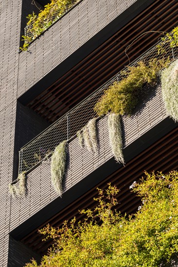 Facade of a modern building with balconies and plants in the Poblenou district in Barcelona in Spain