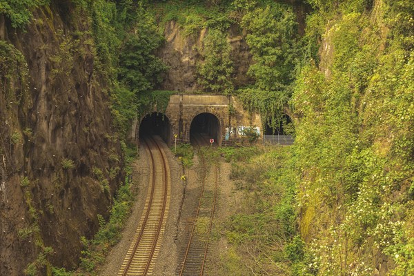 Two railway tunnels surrounded by densely overgrown rock faces and tracks, Rauenthal tunnel, on the right disused Langerfeld tunnel, Beyenburg line, Wuppertal Langerfeld, North Rhine-Westphalia, Germany, Europe