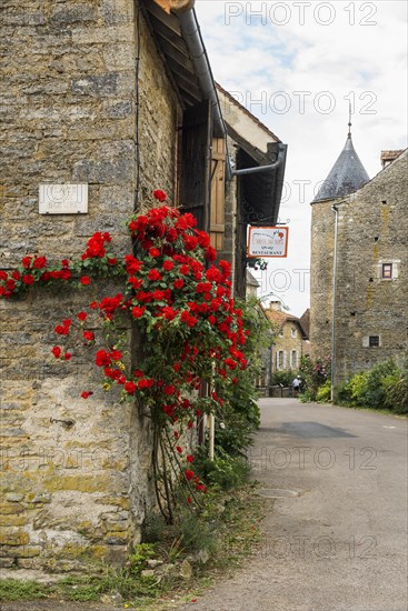 Medieval village and castle, Chateauneuf, Departement Cote-d'Or, Burgundy, Bourgogne-Franche-Comte, France, Europe