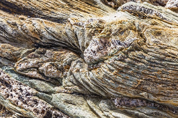 Coloured, ferruginous mineral sandstone on Topinetti beach, near Rio Marina, Elba, Tuscan Archipelago, Tuscany, Italy, Europe