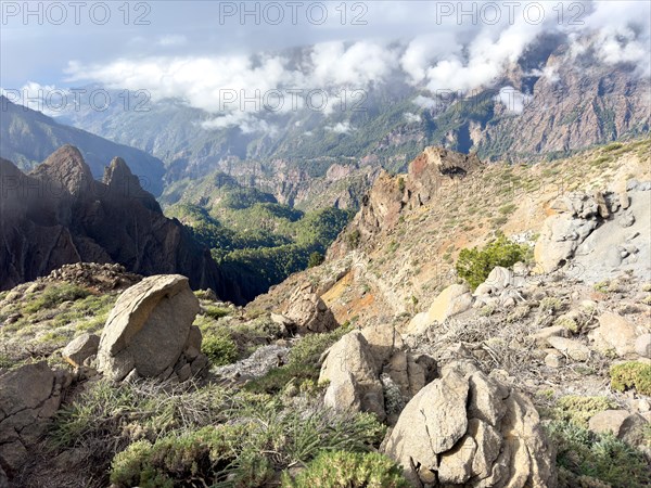 Barranco de la Piedra Majorera, Caldera de Taburiente, La Palma, Canary Islands, Spain, Europe