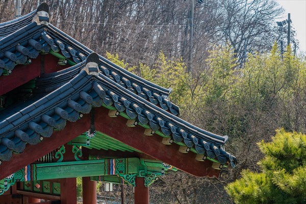 Tilled roof of an oriental building with trees in the background at a local woodland park in South Korea