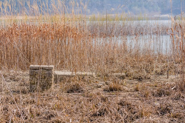 Foundation and concrete column of building in tall grass of dried riverbed with river and tall reeds in background