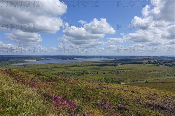 View from Mont Saint-Michel de Brasparts with heath landscape, to the reservoir Reservoir de Saint-Michel, mountain range Monts d'Arree, department Finistere Penn ar Bed, region Bretagne Breizh, France, Europe