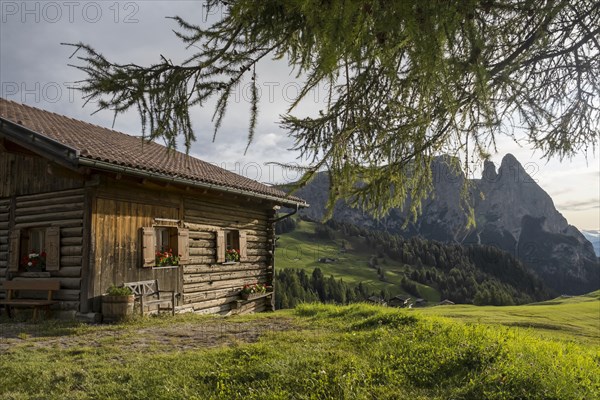 Alpine hut on the Seiser Alm, in the background the summit of the Schlern, Groednertal, Dolomites, South Tyrol, Italy, Europe