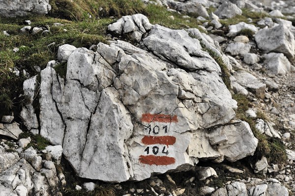 Hiking trail numbers, markings, hiking trail designations, 101, 104, Three Peaks Hiking Trail, Sesto Dolomites, Italy, Europe