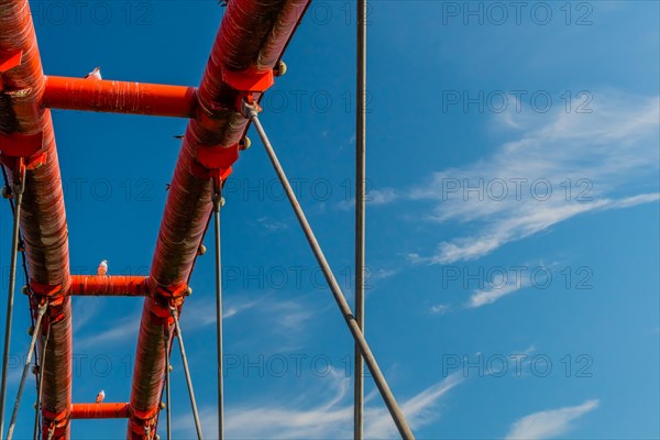 Three seagulls perched on top of dirty orange bridge with beautiful blue sky in background