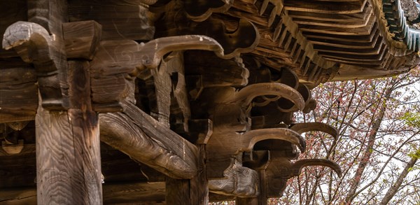 View of underside of roof of an old, unused oriental pavilion in a wooded area in South Korea