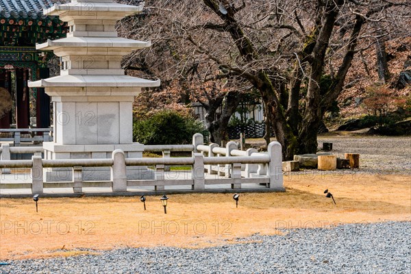 Five story concrete pagoda (only three visible) in concrete enclosure next to barren tree in Buddha temple