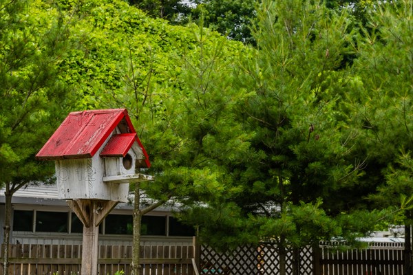 Closeup of white birdhouse with red roof on wooden stand with trees and white building in background