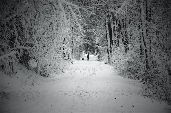 Two people walking in the distance on a snow-covered path in the forest, Wuppertal Vohwinkel, North Rhine-Westphalia, Germany, Europe