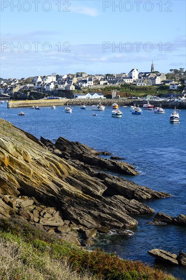 Harbour and commune of Le Conquet, seen from the Kermorvan peninsula, Finistere Pen ar Bed department, Brittany Breizh region, France, Europe