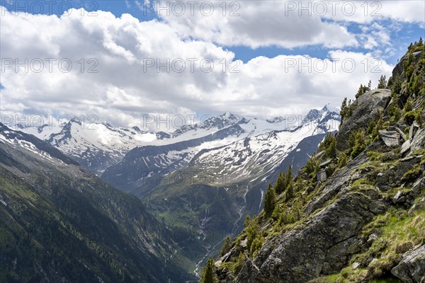 Mountain panorama with glaciated summit Grosser Moeseler and Turnerkamp, Berliner Hoehenweg, Zillertal Alps, Tyrol, Austria, Europe