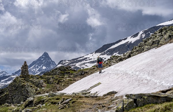 Mountaineer on a rocky hiking trail in a snowfield, Berliner Hoehenweg, mountain landscape with Schrammacher peak, Zillertal Alps, Tyrol, Austria, Europe