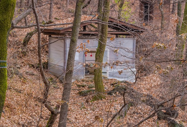 Wooden building wrapped in heavy duty plastic for use by hikers in mountainous woodland park