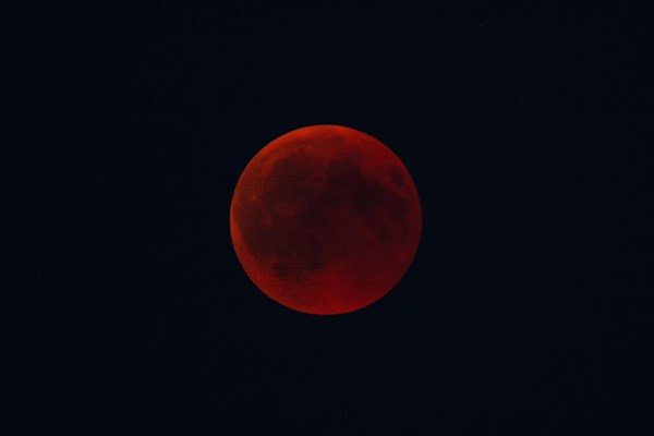 Intense red blood moon in the night sky, mystical atmosphere, Haan, North Rhine-Westphalia, Germany, Europe