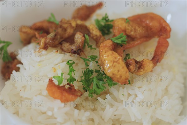 Close-up of a rice topped with fried crispy chicken skin or chicken chicharon and chopped parsley, local Filipino delicacy. Dumaguete, Philippines, Asia
