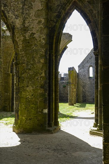 Ruins of the Saint-Mathieu abbey church on the Pointe Saint-Mathieu, Plougonvelin, Finistere department, Brittany region, France, Europe