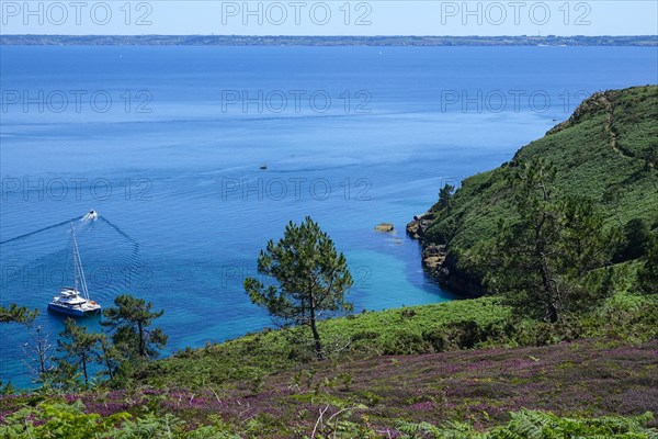 Anse St. Nicolas bay at Cap de la Chevre, heathland in the bay of Douarnenez, Crozon peninsula, Finistere department, Brittany region, France, Europe