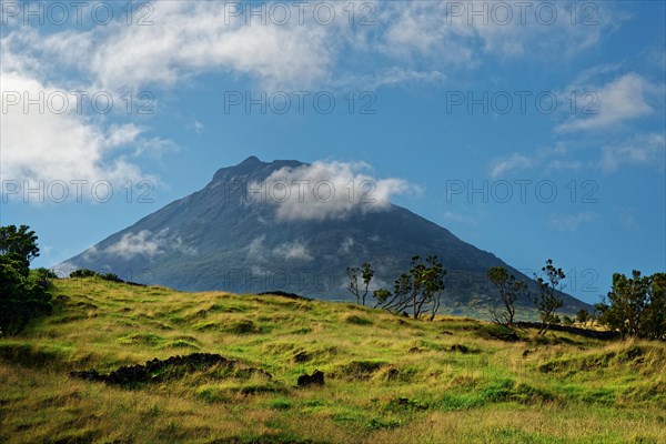 View of the volcanic mountain Pico over a green, shining grass landscape, Madalena, Pico, Azores, Portugal, Europe
