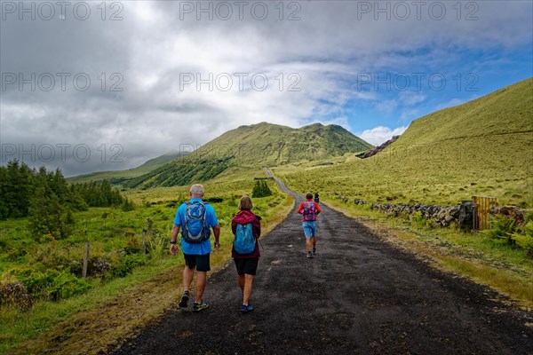 Three hikers on a path in a green volcanic landscape, Estradas dos Lagoas, Madalena, Pico, Azores, Portugal, Europe
