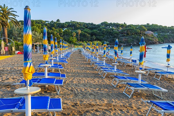 Sun loungers and parasols on Straccolignino beach at sunrise, near Capoliveri, Elba, Tuscan Archipelago, Tuscany, Italy, Europe